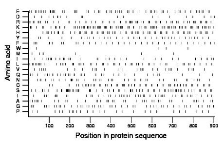 amino acid map