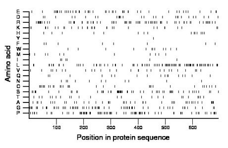 amino acid map