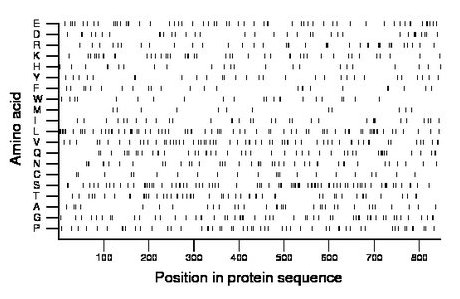 amino acid map