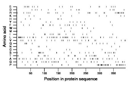 amino acid map