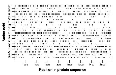 amino acid map