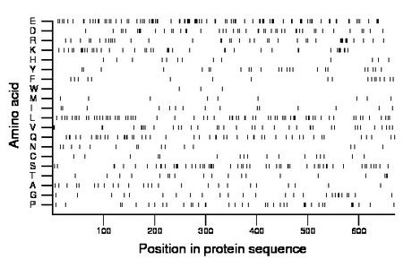 amino acid map