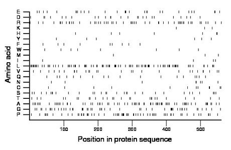 amino acid map