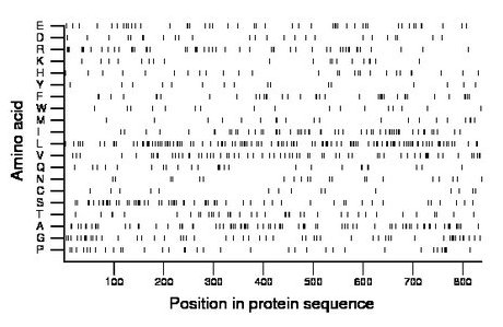 amino acid map