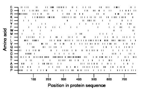 amino acid map