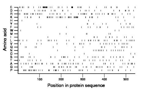 amino acid map