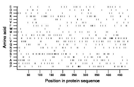 amino acid map