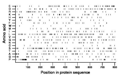 amino acid map