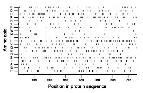 amino acid map