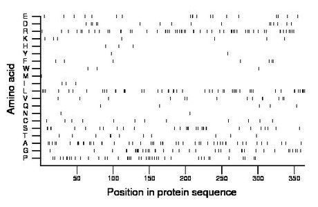 amino acid map