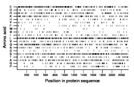 amino acid map