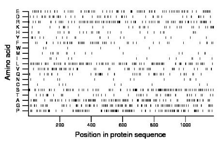 amino acid map