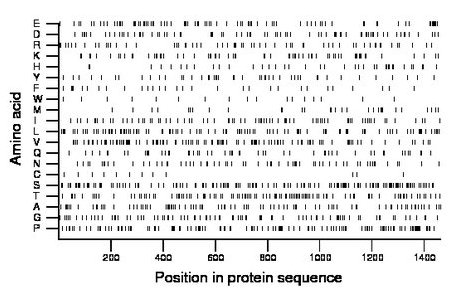 amino acid map