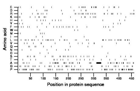 amino acid map