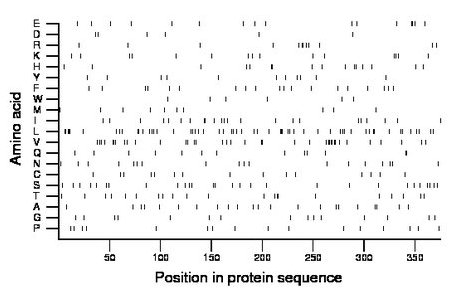 amino acid map