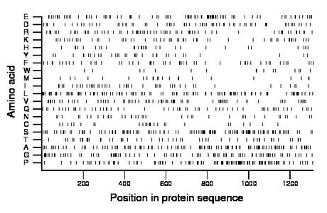 amino acid map