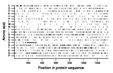 amino acid map