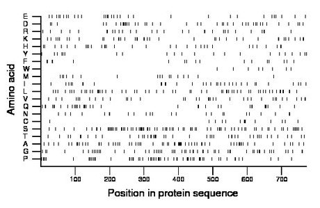 amino acid map