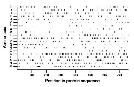 amino acid map