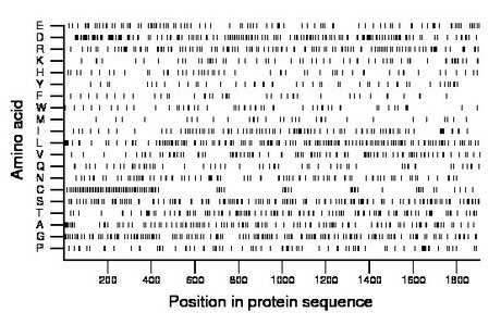 amino acid map