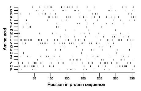 amino acid map