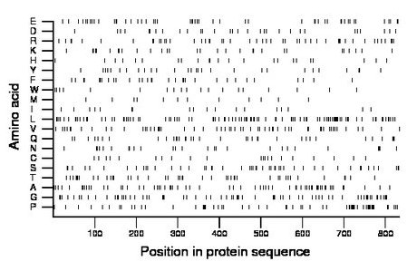 amino acid map