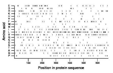 amino acid map