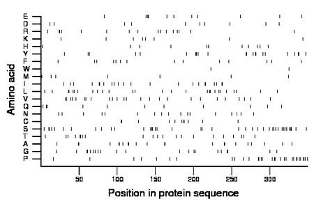 amino acid map