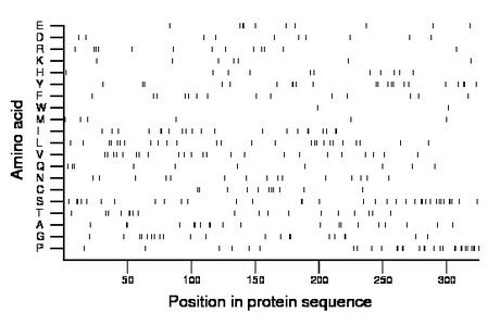 amino acid map