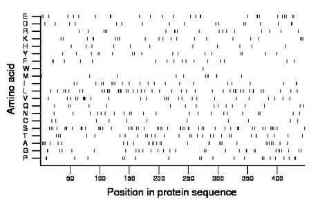 amino acid map