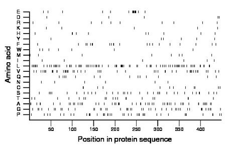 amino acid map