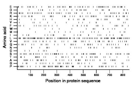 amino acid map