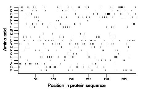 amino acid map