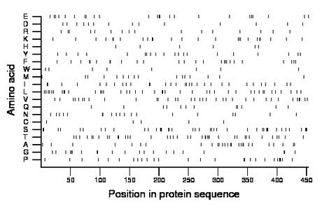 amino acid map