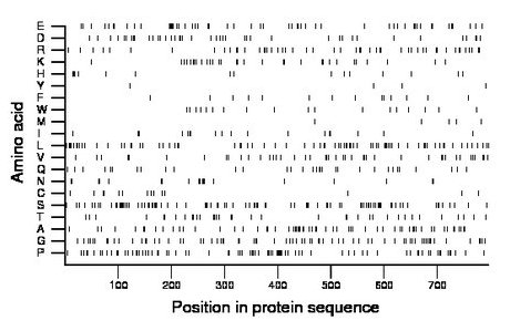 amino acid map