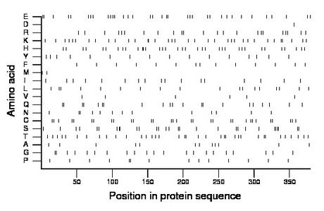 amino acid map