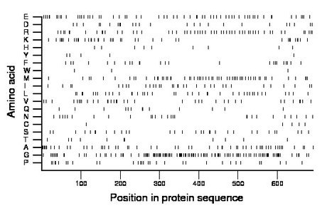 amino acid map