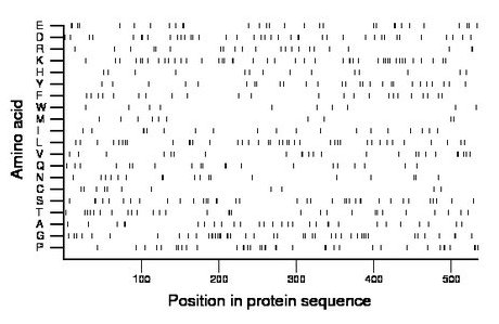 amino acid map