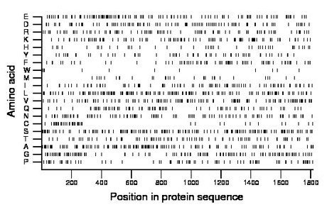 amino acid map