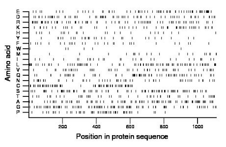 amino acid map