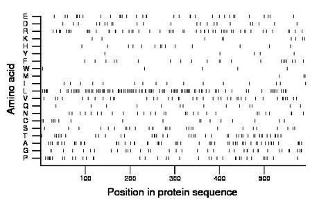 amino acid map