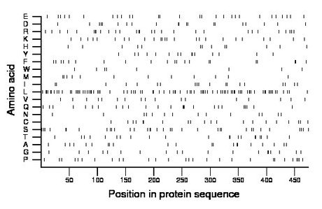 amino acid map