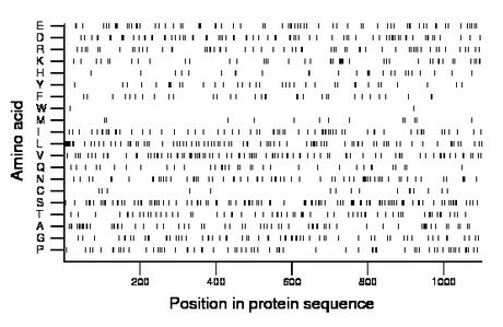 amino acid map