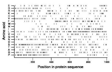 amino acid map