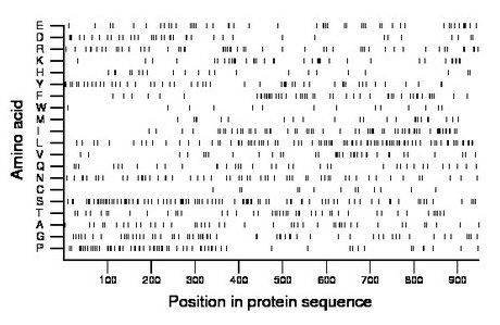 amino acid map