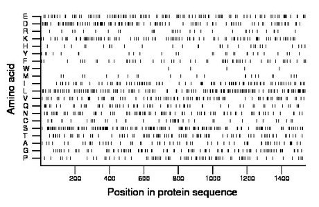 amino acid map