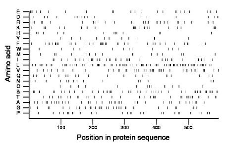 amino acid map