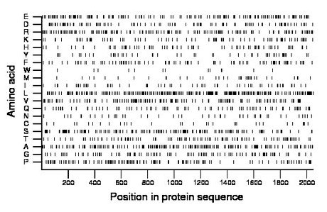 amino acid map