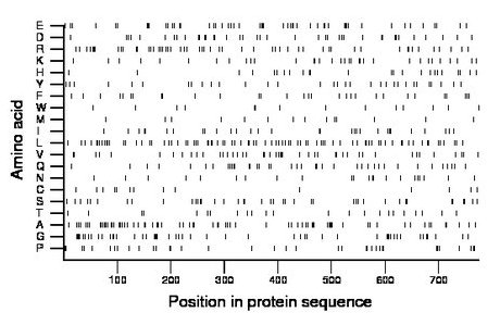 amino acid map