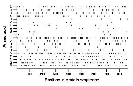 amino acid map